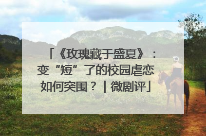 《玫瑰藏于盛夏》：变“短”了的校园虐恋如何突围？｜微剧评