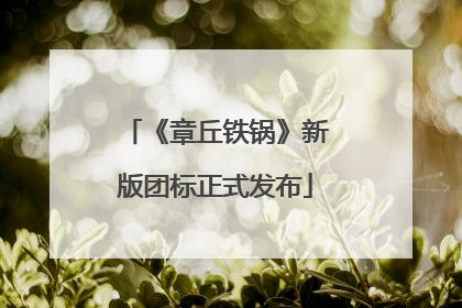 《章丘铁锅》新版团标正式发布