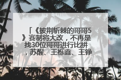 《披荆斩棘的哥哥5》赛制将大改，不再是找30位哥哥进行比拼，苏醒、王栎鑫、王铮亮、张远等多名男团选手被曝将参加