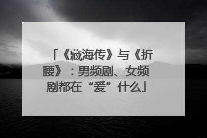 《藏海传》与《折腰》：男频剧、女频剧都在“爱”什么