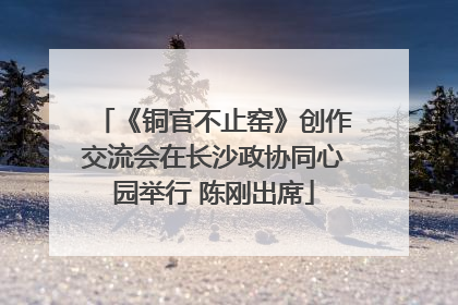 《铜官不止窑》创作交流会在长沙政协同心园举行 陈刚出席