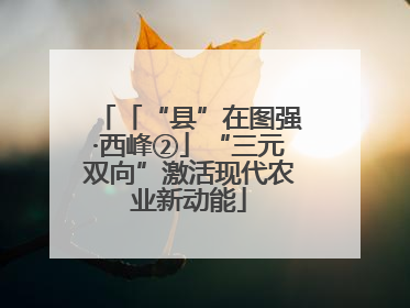 「“县”在图强·西峰②」“三元双向”激活现代农业新动能