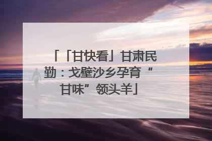 「甘快看」甘肃民勤：戈壁沙乡孕育“甘味”领头羊