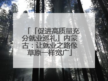 「促进高质量充分就业巡礼」内蒙古：让就业之路像草原一样宽广