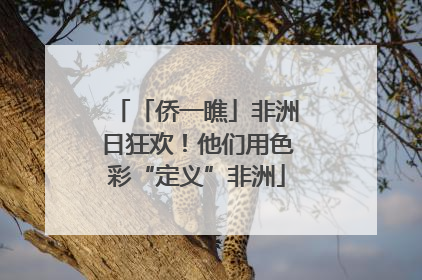 「侨一瞧」非洲日狂欢！他们用色彩“定义”非洲
