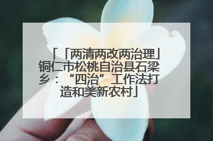 「两清两改两治理」铜仁市松桃自治县石梁乡：“四治”工作法打造和美新农村