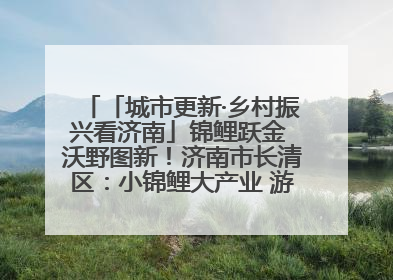 「城市更新·乡村振兴看济南」锦鲤跃金 沃野图新！济南市长清区：小锦鲤大产业 游出农旅新风景