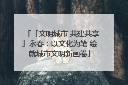 「文明城市 共建共享」永春：以文化为笔 绘就城市文明新画卷