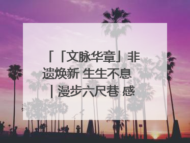 「文脉华章」非遗焕新 生生不息｜漫步六尺巷 感受礼让文化浸润的“巷”往生活