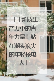 「新质生产力中的青年力量」站在潮头浪尖的年轻核电人
