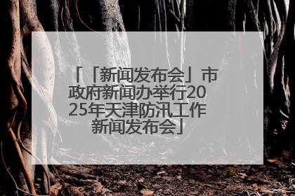 「新闻发布会」市政府新闻办举行2025年天津防汛工作新闻发布会