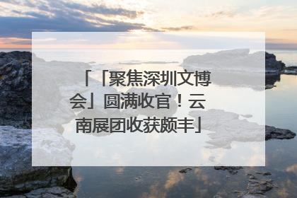 「聚焦深圳文博会」圆满收官！云南展团收获颇丰