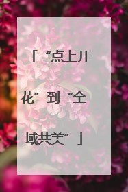 “点上开花”到“全域共美”