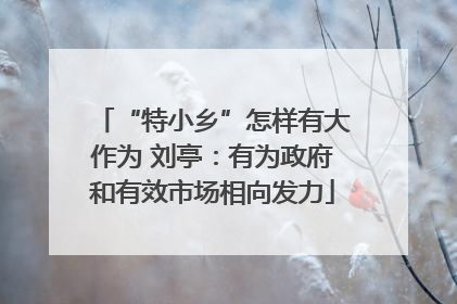 “特小乡”怎样有大作为 刘亭：有为政府和有效市场相向发力