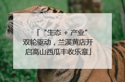 “生态 + 产业”双轮驱动，兰溪黄店开启高山西瓜丰收乐章