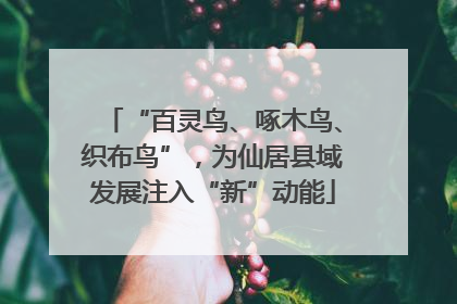 “百灵鸟、啄木鸟、织布鸟”，为仙居县域发展注入“新”动能