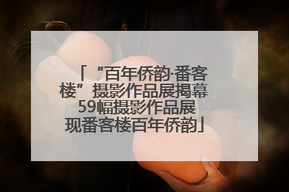 “百年侨韵·番客楼”摄影作品展揭幕 59幅摄影作品展现番客楼百年侨韵