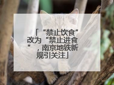 “禁止饮食”改为“禁止进食”，南京地铁新规引关注