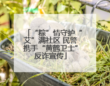 “粽”情守护“艾”满社区 民警携手“黄鹤卫士”反诈宣传
