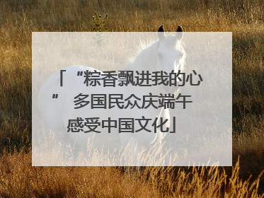 “粽香飘进我的心” 多国民众庆端午感受中国文化
