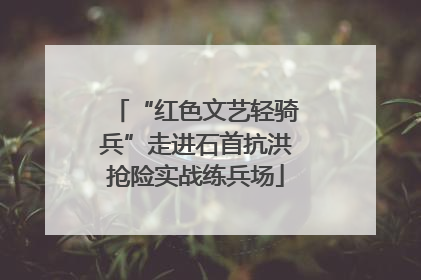 “红色文艺轻骑兵”走进石首抗洪抢险实战练兵场