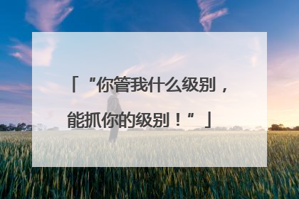 “你管我什么级别，能抓你的级别！”