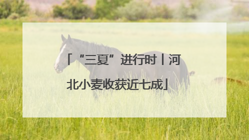 “三夏”进行时丨河北小麦收获近七成