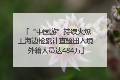 “中国游”持续火爆 上海边检累计查验出入境外籍人员达484万