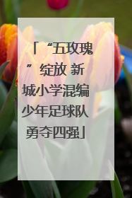 “五玫瑰”绽放 新城小学混编少年足球队勇夺四强