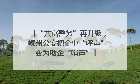 “共富警务”再升级，嵊州公安把企业“呼声”变为助企“哨声”