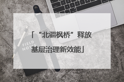 “北疆枫桥”释放基层治理新效能