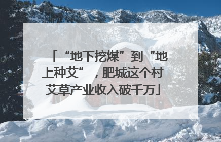 “地下挖煤”到“地上种艾”，肥城这个村艾草产业收入破千万