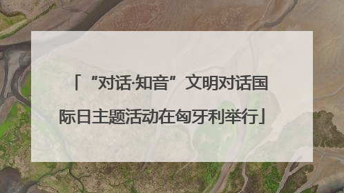 “对话·知音”文明对话国际日主题活动在匈牙利举行