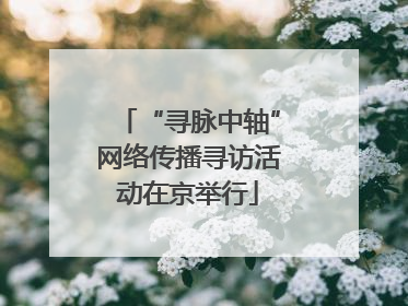 “寻脉中轴”网络传播寻访活动在京举行