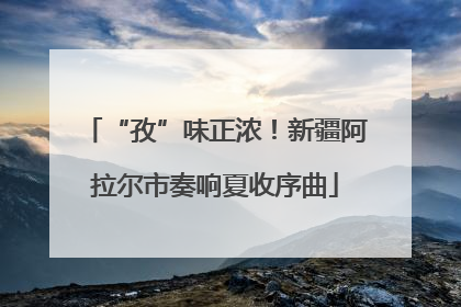 “孜”味正浓！新疆阿拉尔市奏响夏收序曲