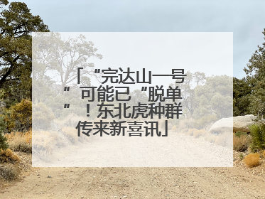 “完达山一号”可能已“脱单”！东北虎种群传来新喜讯