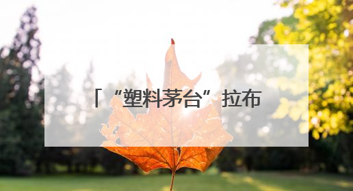 “塑料茅台”拉布布，凭什么造就河南首富｜新京报专栏