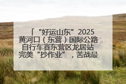 “好运山东”2025黄河口（东营）国际公路自行车赛东营区龙居站 完美“抄作业”，苦战最后时刻黄衫易主