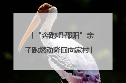 “奔跑吧·邵阳”亲子跑燃动隆回向家村