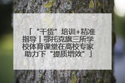 “干货”培训+精准指导丨鄂托克旗三所学校体育课堂在高校专家助力下“提质增效”