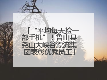 “平均每天捡一部手机”！鲁山县尧山大峡谷漂流集团表彰优秀员工