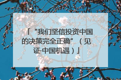 “我们坚信投资中国的决策完全正确”（见证·中国机遇）