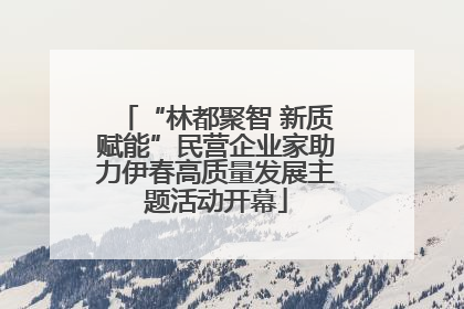 “林都聚智 新质赋能”民营企业家助力伊春高质量发展主题活动开幕