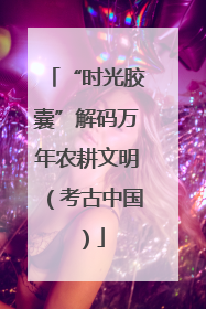“时光胶囊”解码万年农耕文明（考古中国）