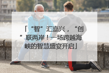 “智”汇嘉兴，“创”联两岸！一场跨越海峡的智慧盛宴开启