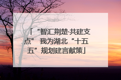 “智汇荆楚·共建支点” 我为湖北“十五五”规划建言献策