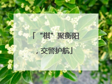 “棋”聚衡阳，交警护航