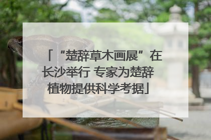 “楚辞草木画展”在长沙举行 专家为楚辞植物提供科学考据