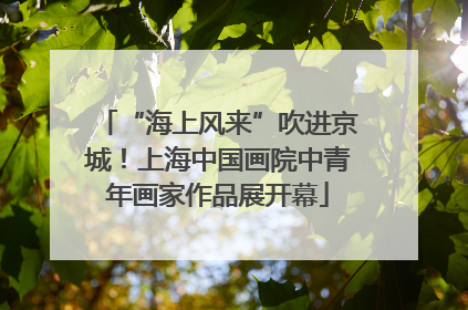 “海上风来”吹进京城！上海中国画院中青年画家作品展开幕