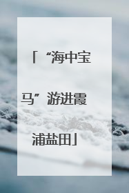 “海中宝马”游进霞浦盐田